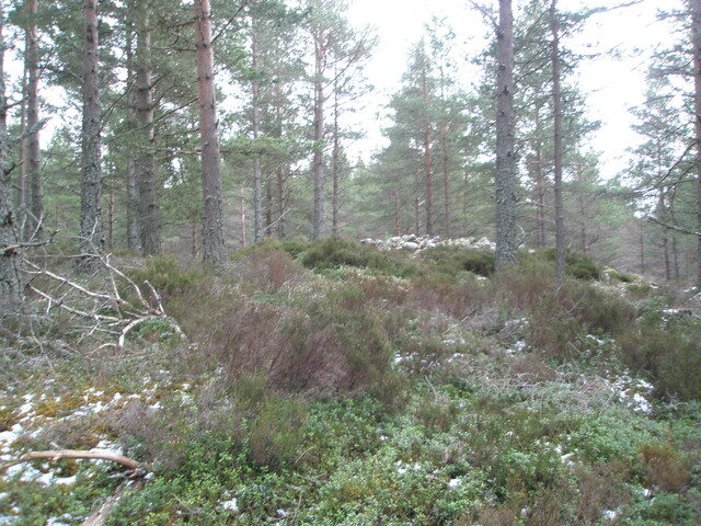 AW 002.jpg