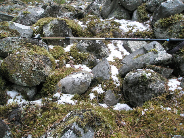 AW 007.jpg