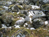AW 007.jpg