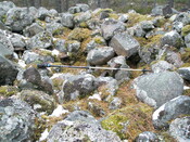 AW 009.jpg