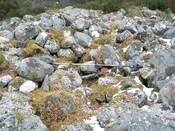 AW 010.jpg
