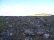ST 041.jpg