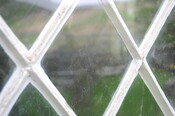 DSC_1181.jpg