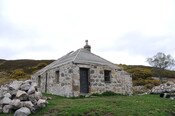 DSC_1194.jpg