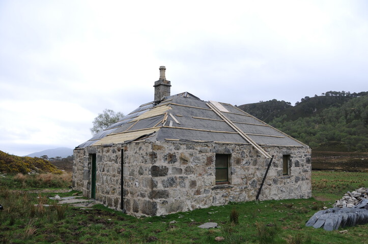 DSC_1196.jpg