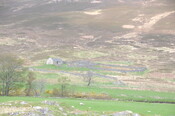 DSC_1215.jpg