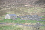 DSC_1216.jpg