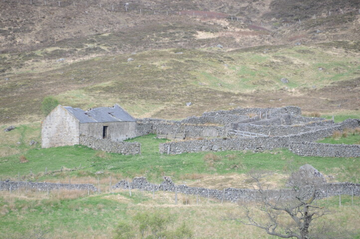DSC_1217.jpg
