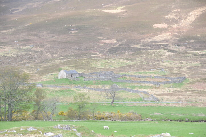 DSC_1218.jpg