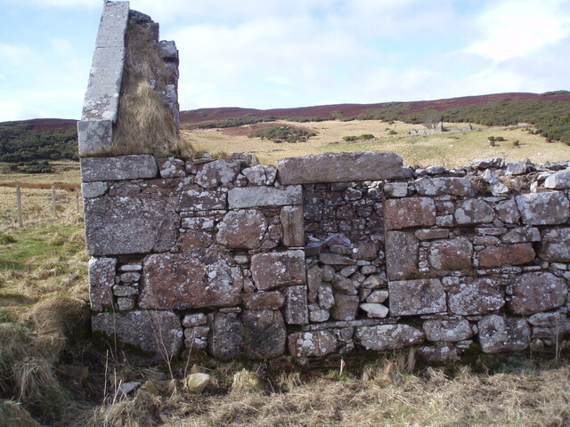 P3120056.jpg