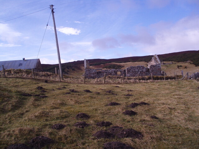 P3120066.jpg