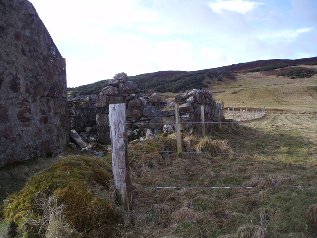 P3120074.jpg