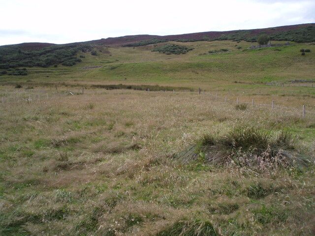 P8170001.jpg