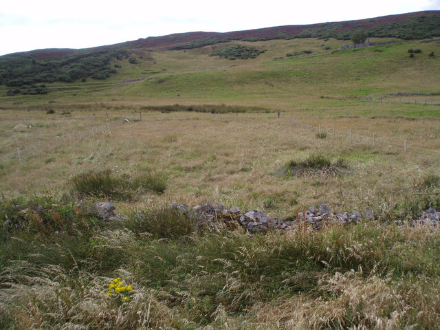 P8170009.jpg