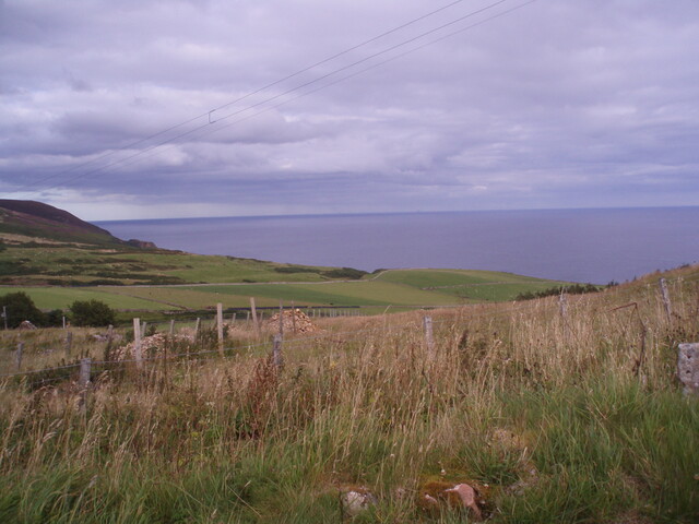 P8170010.jpg