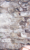 WR_011.jpg
