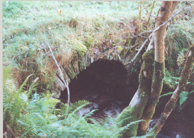 WR_002.jpg