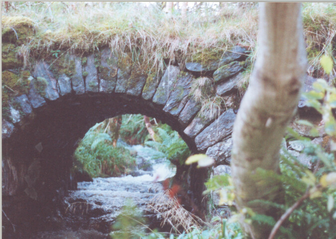 WR_004.jpg