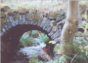 WR_004.jpg