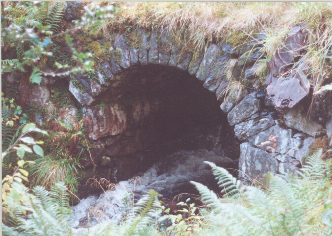 WR_005.jpg