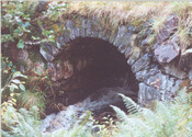 WR_005.jpg