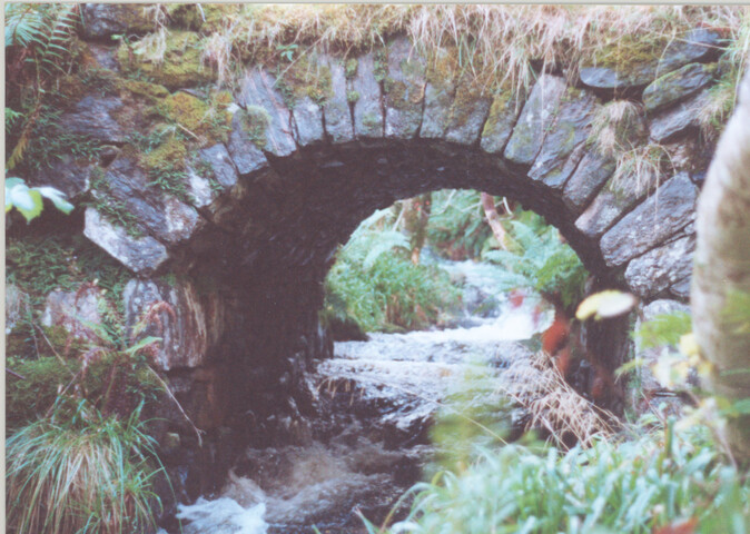 WR_006.jpg
