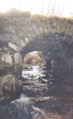 WR_009.jpg