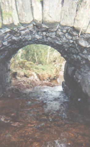 WR_010.jpg