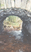 WR_010.jpg