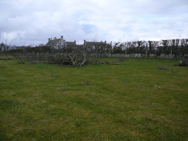P1000982.JPG
