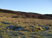 MHG3361.jpg