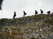 MHG4666.jpg