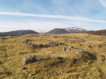 MHG4411_web.jpg