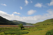 DSC_1316.jpg