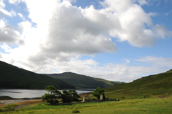DSC_1320.jpg
