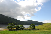 DSC_1343.jpg