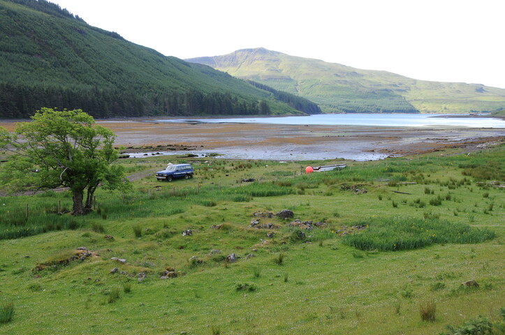 DSC_1346.jpg