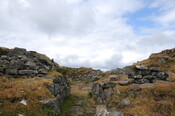 DSC_1351.jpg