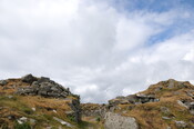 DSC_1361.jpg