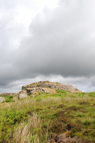 DSC_1366.jpg
