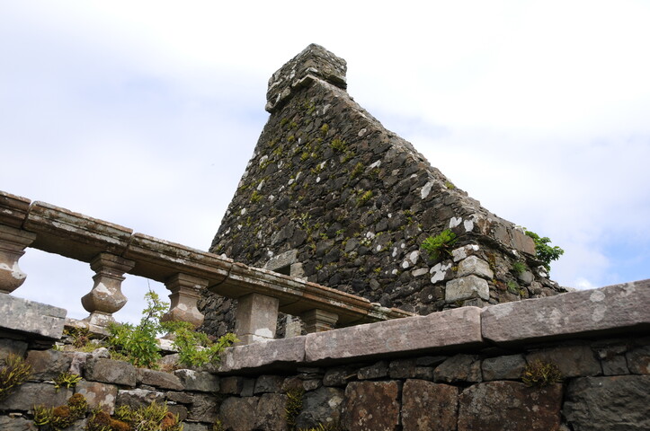 DSC_1397.jpg