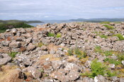 DSC_1451.jpg