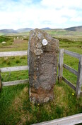 DSC_1455.jpg