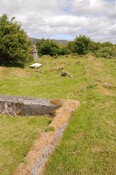 DSC_1471.jpg