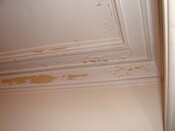 DSC02071.JPG