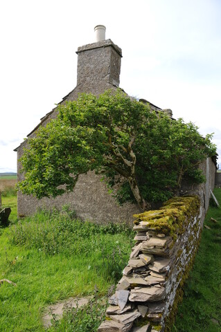 DSC_1503.jpg