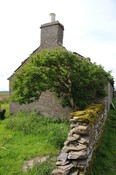 DSC_1503.jpg