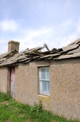 DSC_1504.jpg