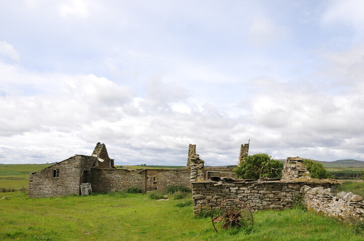 DSC_1506.jpg