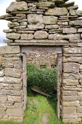 DSC_1511.jpg
